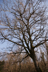 f0106597_234202.jpg