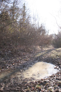 f0106597_2371213.jpg