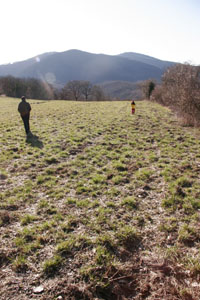 f0106597_2572715.jpg