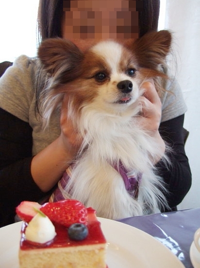 c0044199_1351844.jpg