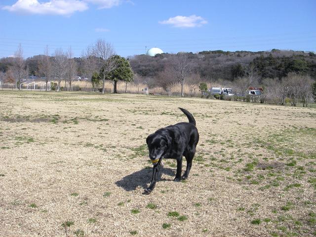 f0034602_20101658.jpg