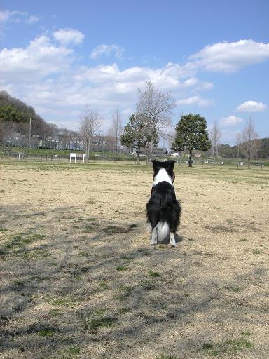 f0034602_20111059.jpg