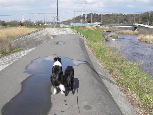 f0034602_20114666.jpg