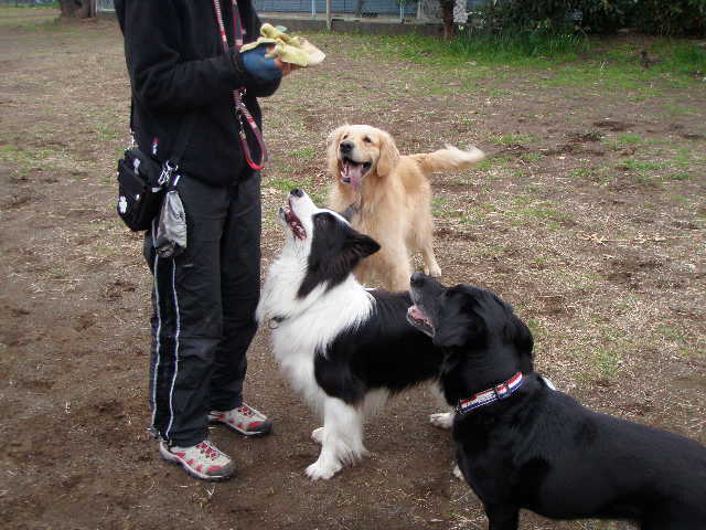 f0034602_2072272.jpg