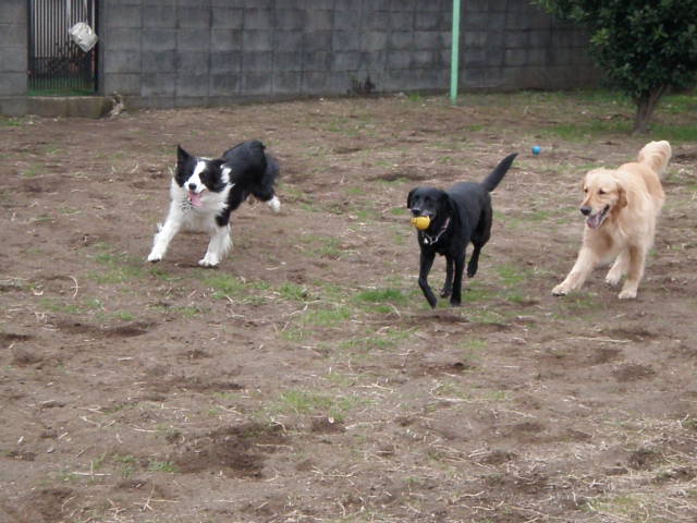 f0034602_2074093.jpg