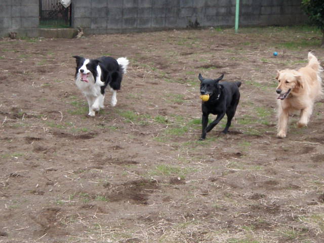 f0034602_207535.jpg