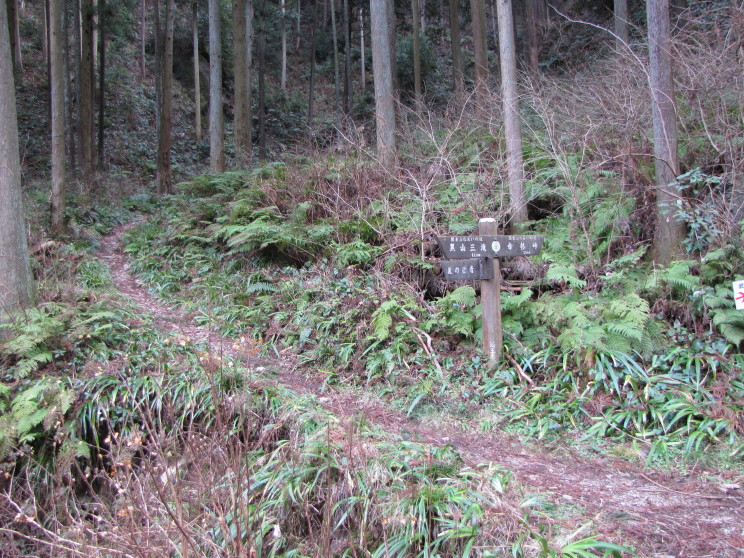b0116703_21442224.jpg