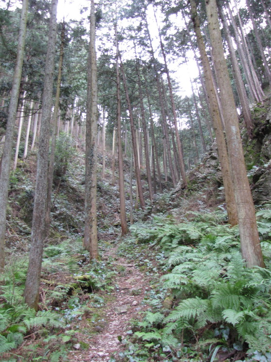 b0116703_21443290.jpg