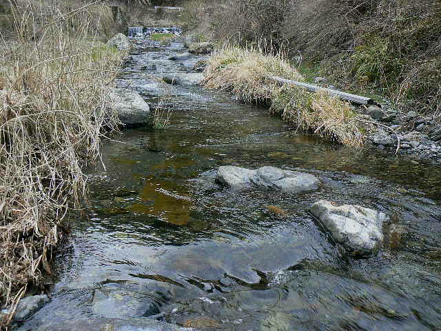 f0164503_040589.jpg