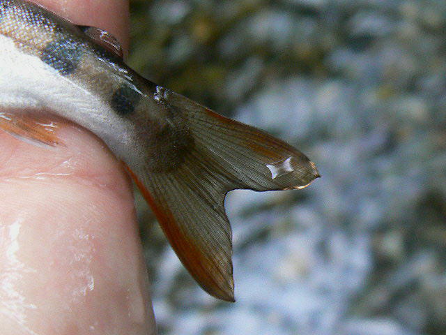 f0164503_0473320.jpg