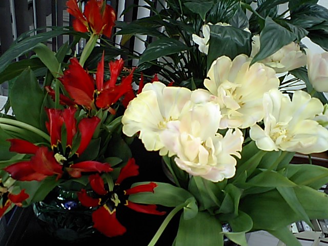 d0054704_0394039.jpg