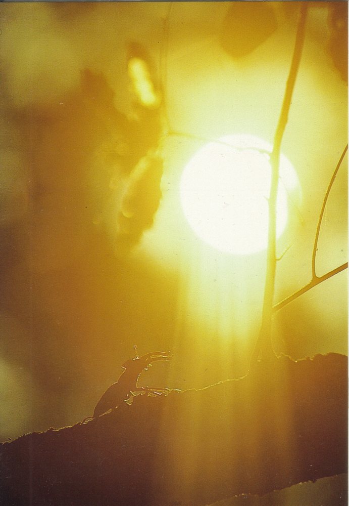c0062511_22493372.jpg