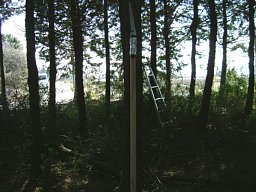f0153115_21285283.jpg