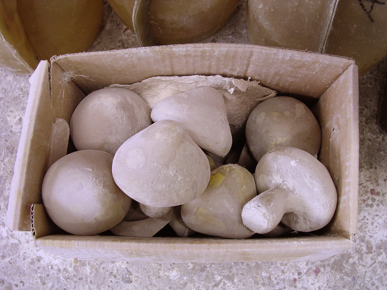 a0116518_12343112.jpg