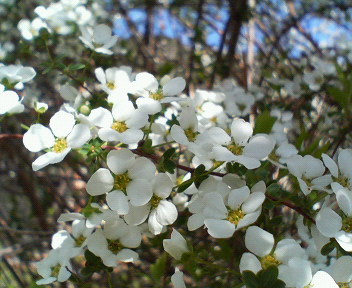 f0036223_14522591.jpg