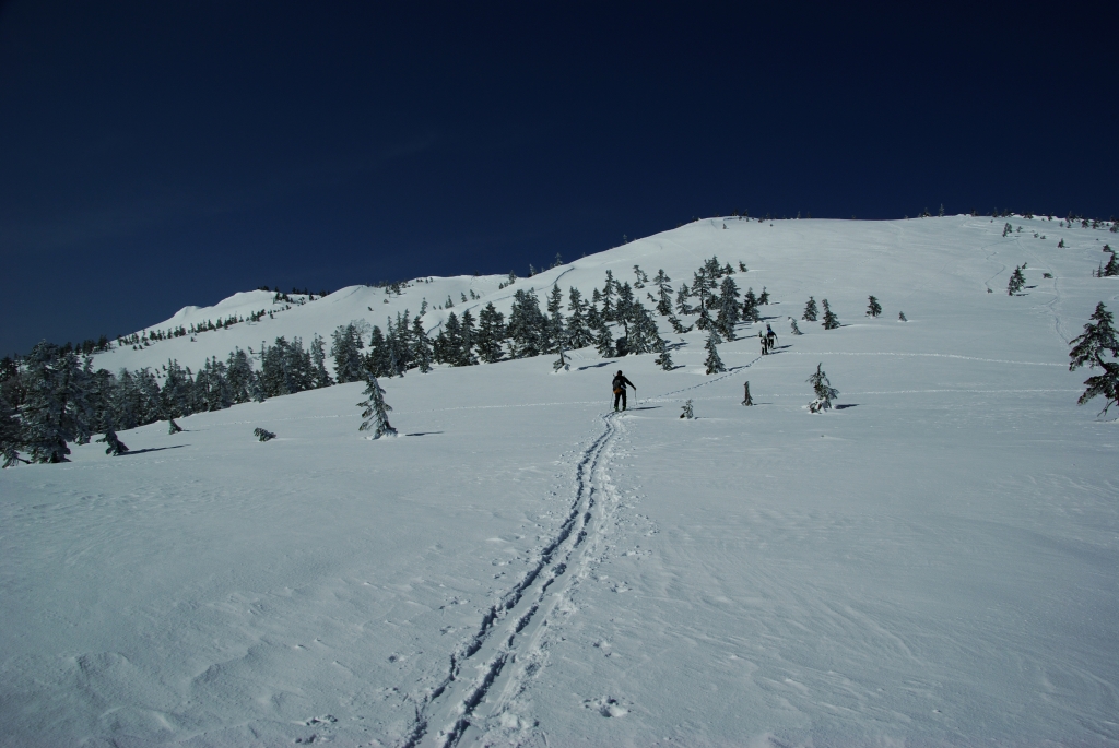 b0062024_2131401.jpg