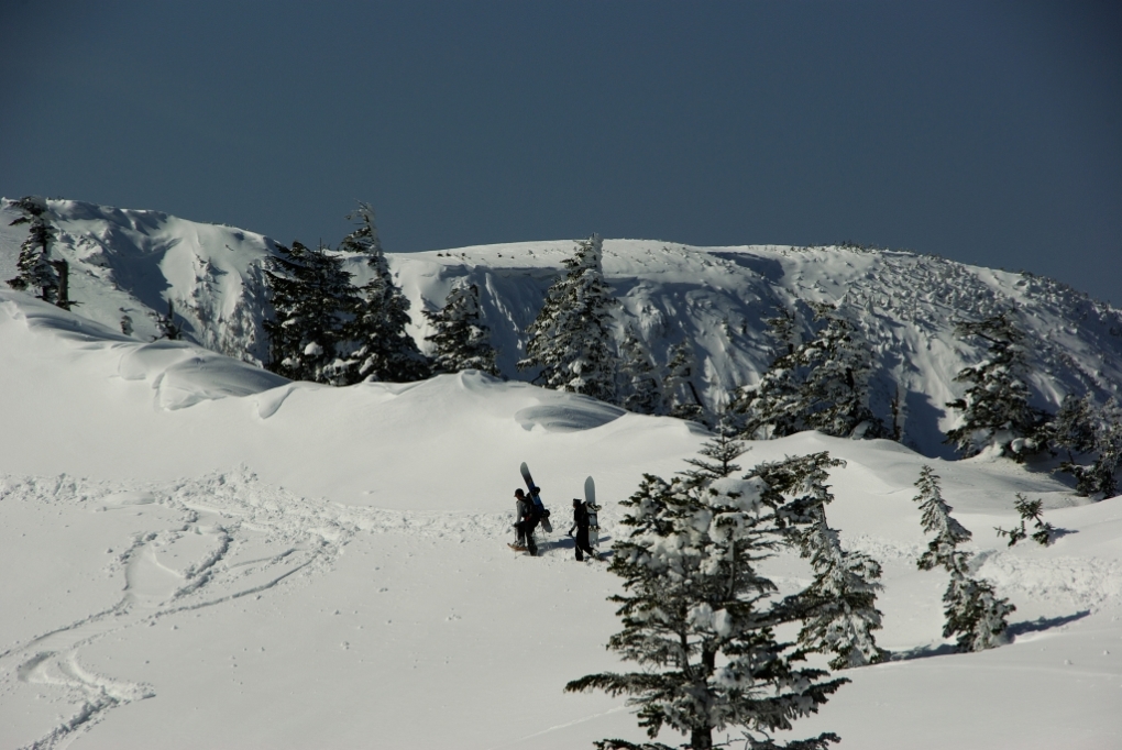 b0062024_21332920.jpg