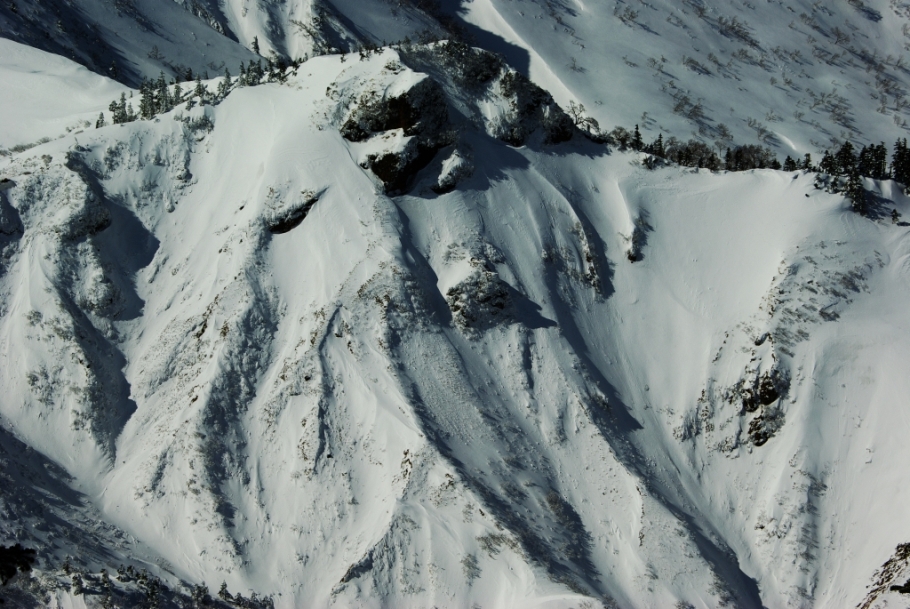 b0062024_21372958.jpg