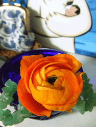 c0188928_161498.gif