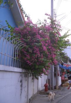 a0024829_22271657.jpg