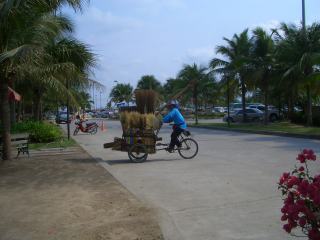 a0024829_22291661.jpg