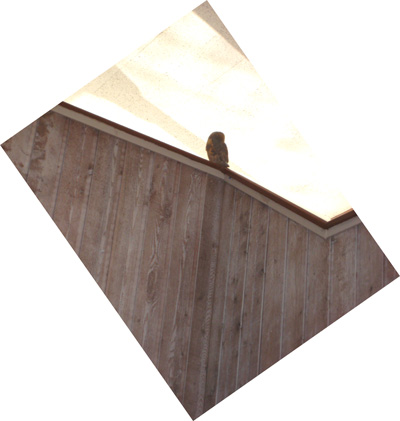 c0137235_8241717.jpg