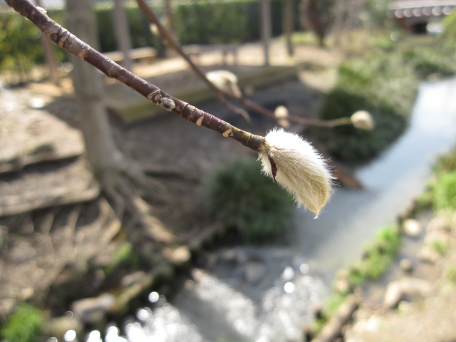 b0088037_853468.jpg