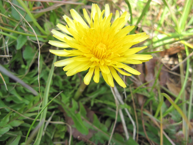 b0088037_8564258.jpg