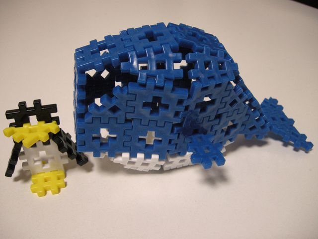 e0172842_2014715.jpg