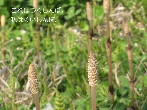 a0090451_23145538.jpg
