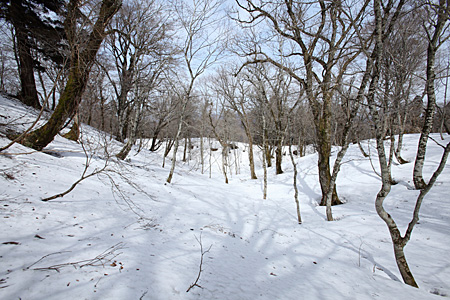 e0113053_2340690.jpg