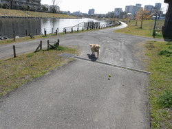 b0071654_946357.gif