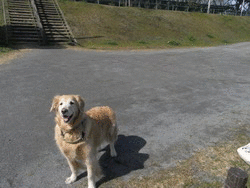b0071654_9465619.gif
