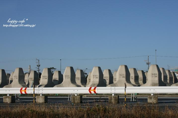 e0148667_21354960.jpg