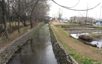 c0112172_0541568.jpg
