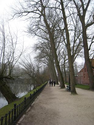 d0046772_5383773.jpg