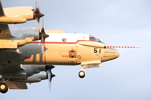 c0073377_2045324.jpg