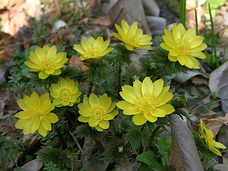 a0079878_2051938.jpg