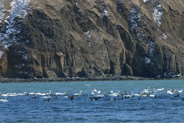 c0036878_2164979.jpg