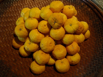 c0105785_11495145.jpg