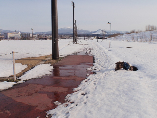 a0007388_13102723.jpg