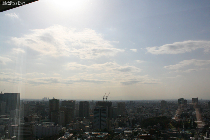 f0001895_148576.jpg