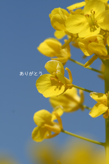c0084097_14554.jpg