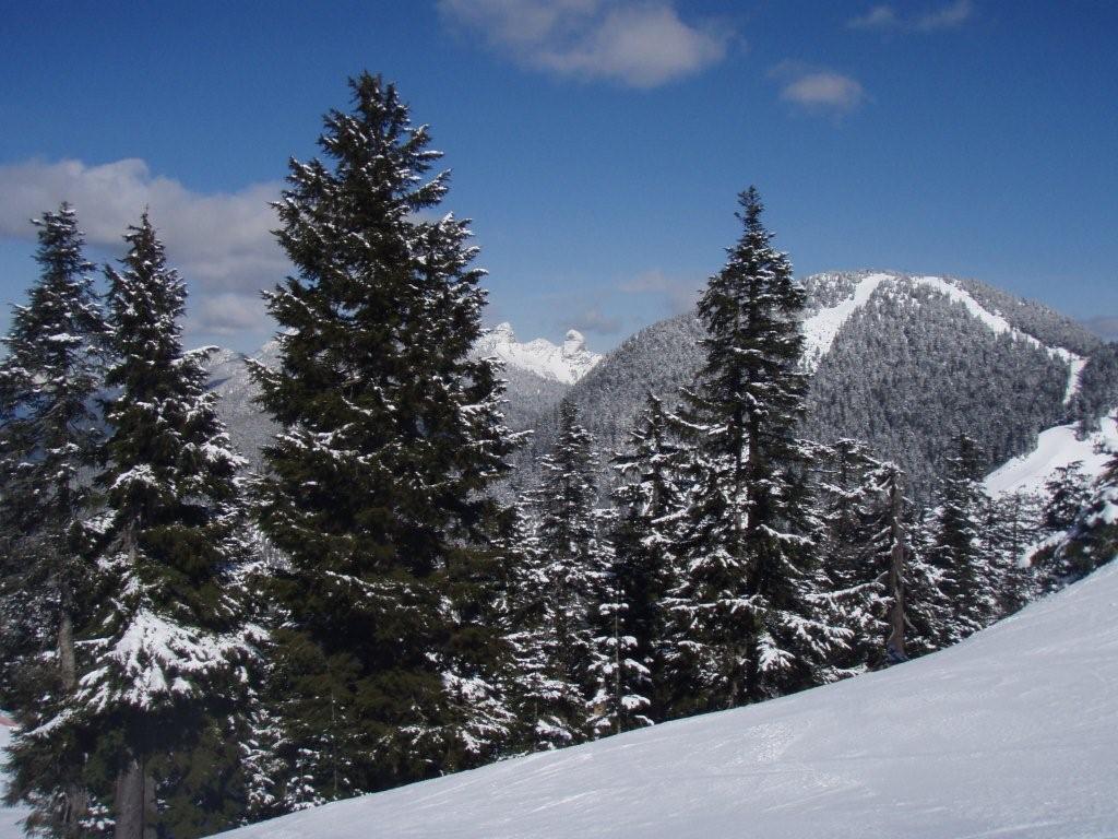 c0195804_11281117.jpg