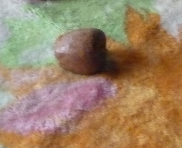 e0018604_15364168.jpg