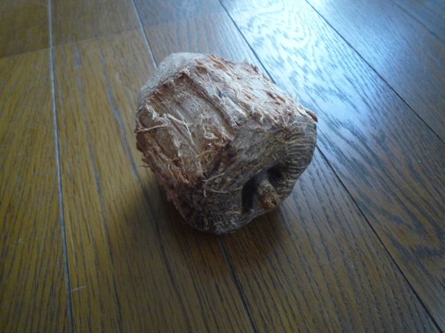 e0018604_15395299.jpg