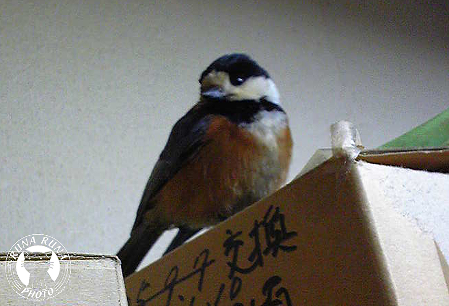 b0118920_14381692.jpg