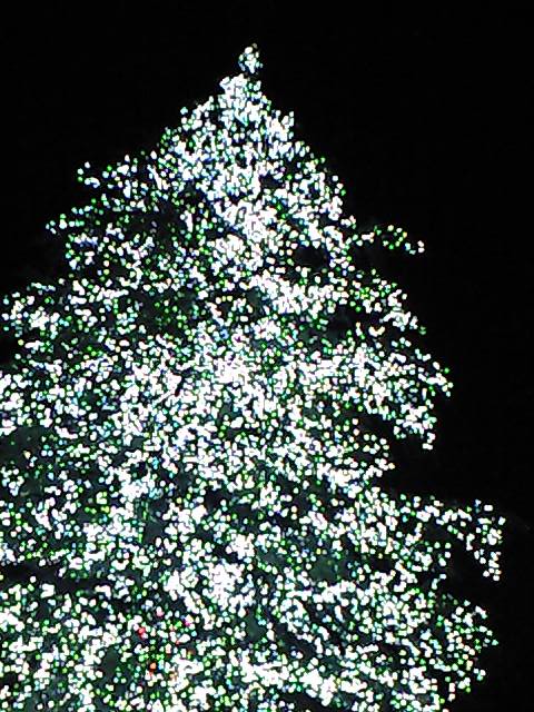 e0123920_12194612.jpg
