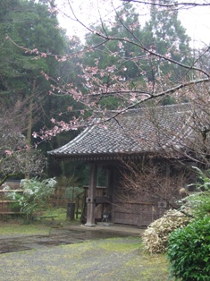 f0031420_917227.jpg