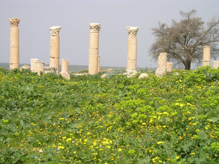 c0112823_1722458.jpg